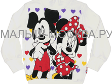 Img 20160202 144326  — �����.png