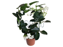 ���������� ���������� 12�40. 433,86 ���.jpg