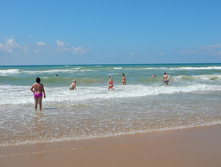 ���� ����, ���� 2015�