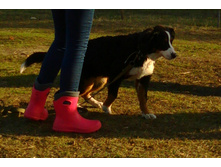 IMG 20160424 171707.jpg