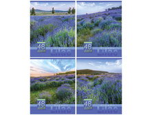 ������� 48�. �5 ����� ������� 14,74.jpg