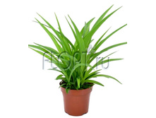 ���������� ����� 12�35. 193,18 ���.jpg