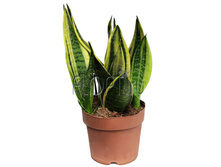 ����������� ������ ����� 17�45. 1073,1 ���.jpg