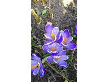 ������ �������, 20 �