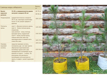 ������� ����� ���������� 80-90�� �����-2 500���, ���� � 3 000���.jpg