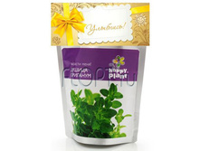 ����� ��� ����������� ������ ��������. 124,74 ���.jpg