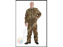 ������ ������, �����.png