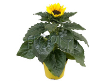 ��������� �������� 13�30. 158,4 ���.jpg