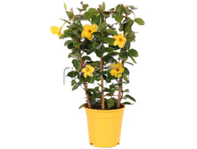 ���������� ���� ������ 17�55. 1118,13 ���.jpg