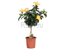 �������� ����� �� ������ 19�60. 874,82 ���.jpg