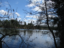 IMG 7558.jpg