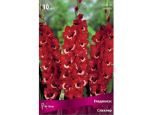 ��������� ������� 89,0