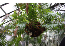 ���������� ���������� 1.jpg