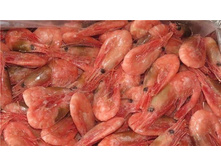 ��������  ������-��������� 70-90 � �������