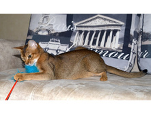 �������