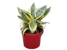 ����������� ������ ����� 11�15. 259,35 ���.jpg