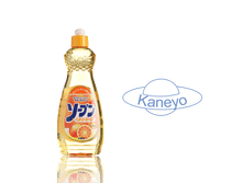 �������� ��� ����� ������ ������ � ������� Kaneyo ������� �������� 600 ��