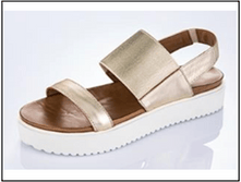 ���� 36,19 ����.