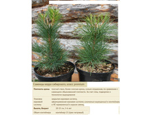 ���� ��������� ������� 1���� 3� 1000���.jpg