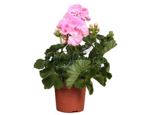 ���������� ��������� ������ 10�25. 143,48 ���.jpg