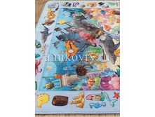 ����� House of Kids Fond marin decouverte.png