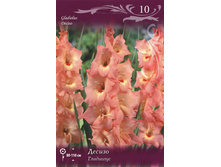 ��������� ������ 80,0