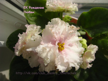 �� �������� �����