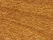 ������� ����.jpg