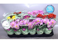 ���������� ���� 5��. 9�22. 122,67 ���.jpg