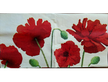 IMG 20160418 132229.jpg