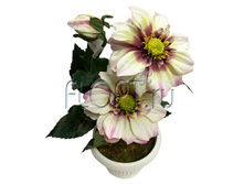 ���.����. �������, � ������, ����� �22830�. 30 ��. 326,41 ���.jpg