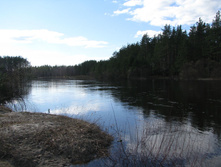 IMG 7598.jpg