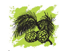 137 ���.  ������� ����� ���� ���������