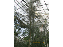 IMG 2849.JPG