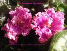 �� ��������� �������