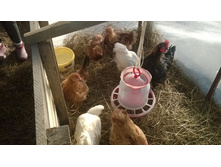 ���������� ���� � �������