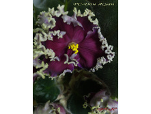 IMG 20160330 210111.jpg