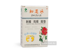 �������� �� ��������� � ����� ������� &laquo;ZHI ZU LE&raquo; 310�