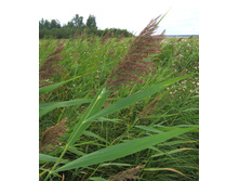 �������� 120�.jpg