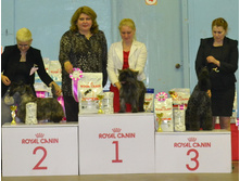 DSC 018503��.jpg