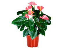 �������� ����� ������� ���� 17�55. 896,7 ���.jpg