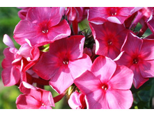 ���� ��������-170�.jpg