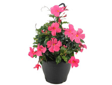 ���������� ������ ���� ��������� 26�65. 1386 ���.jpg