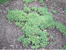 ���� 2014 104.jpg