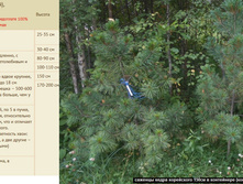 ���� ��������� (���������������) 150 �� 15 000���.jpg