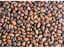 �������� ���� ����������� ����� ���������.jpg