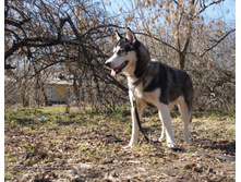 DSC07993.JPG