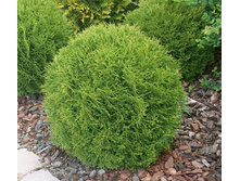 ��� �������� ������ (�9).jpg