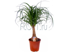 ������ 19�60. 1374,45 ���.jpg