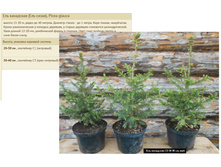 ��� ��������� (��� �����) 20-30�� 1 � 300���, 30-40�� 3� 600���.jpg